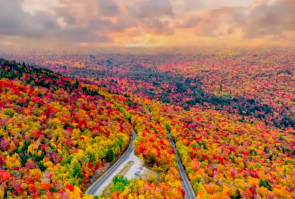 Drone Footage of White Mountains Foliage Will Blow Your Mind