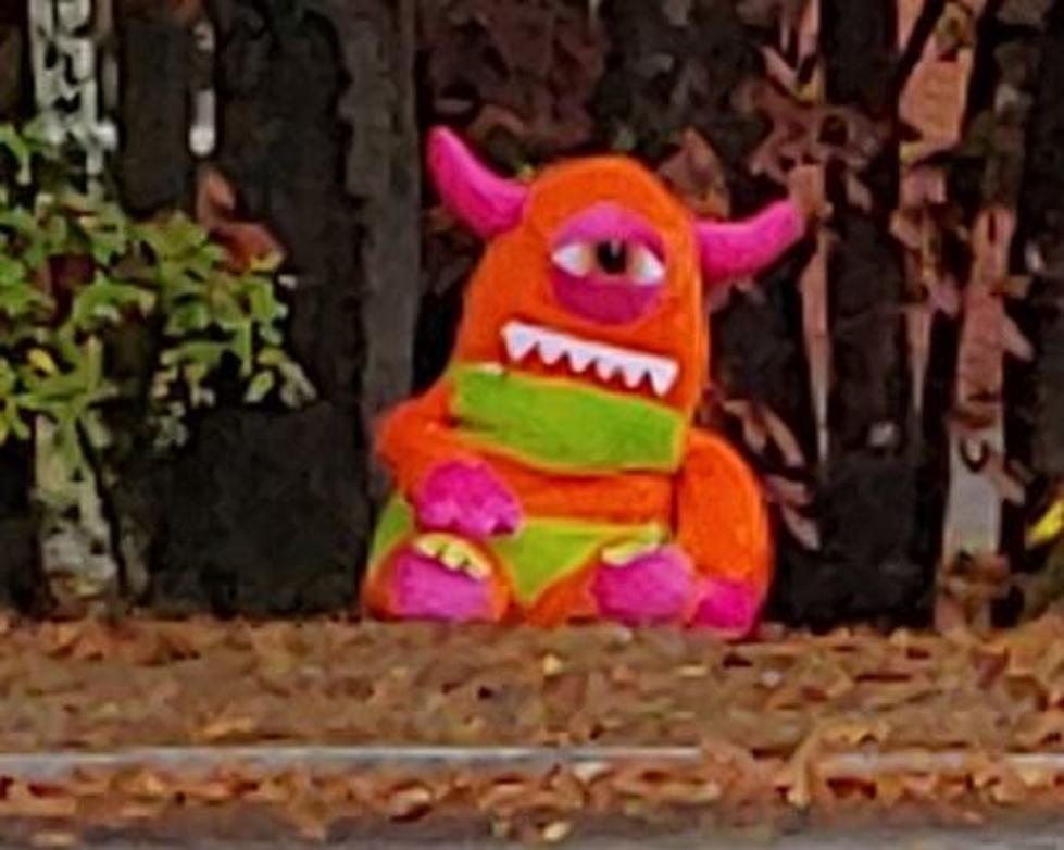 Help Solve The Mystery Of The Giant Stuffed Animal In Dover, NH