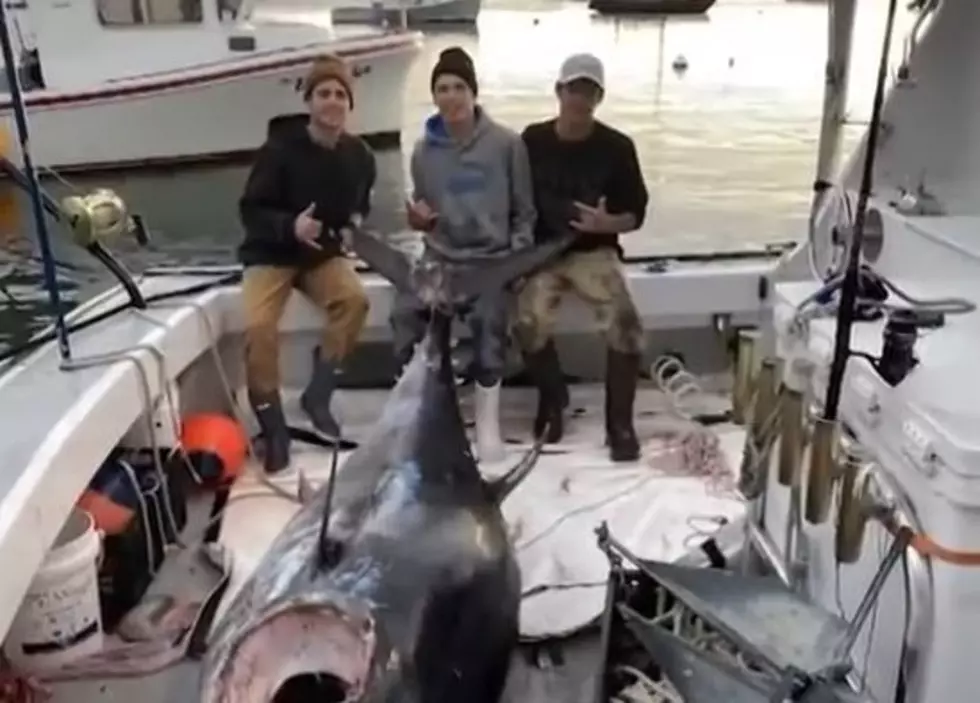 Gloucester Teens Reel in a Whale of a 10-Foot Tuna
