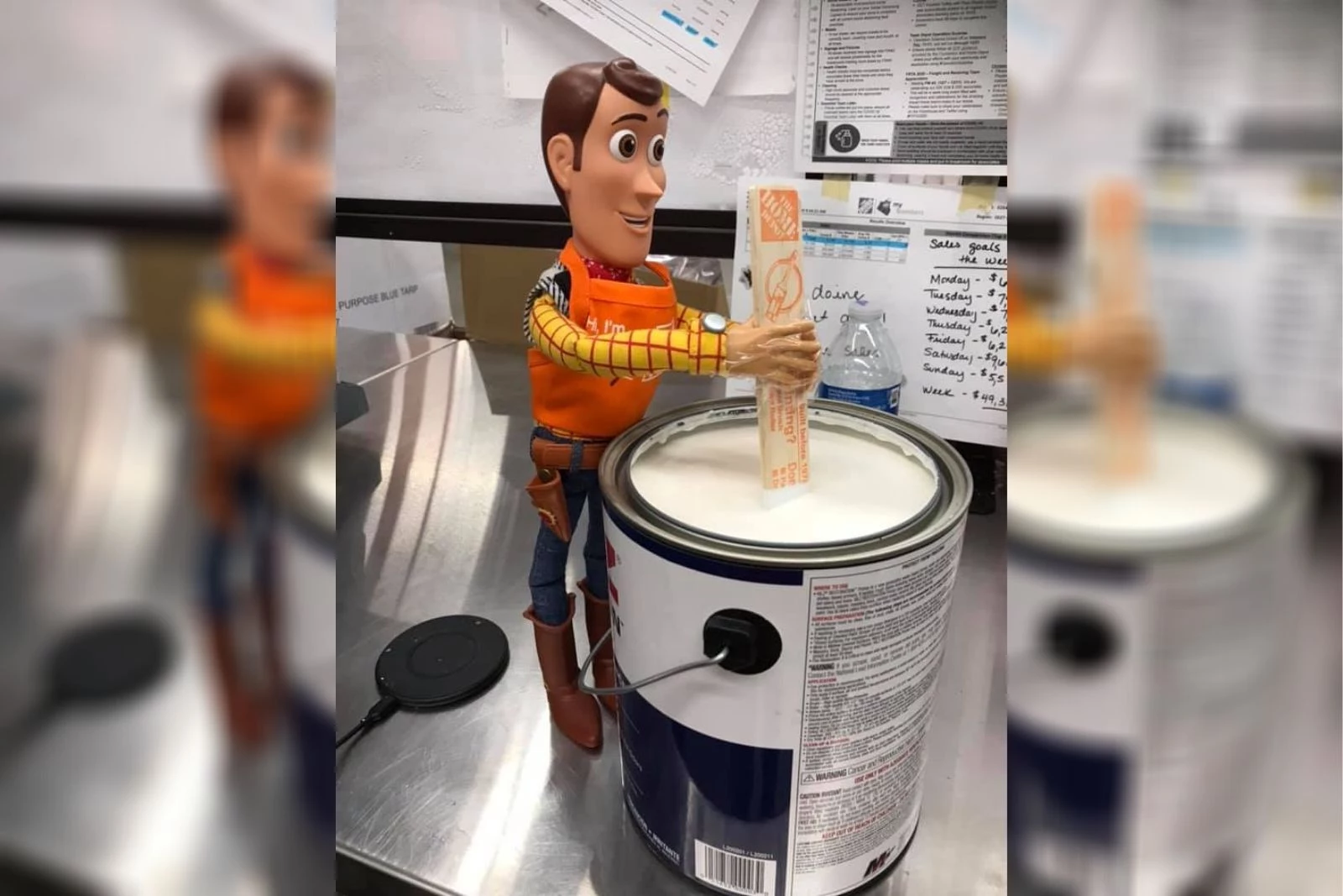 woody at home depot