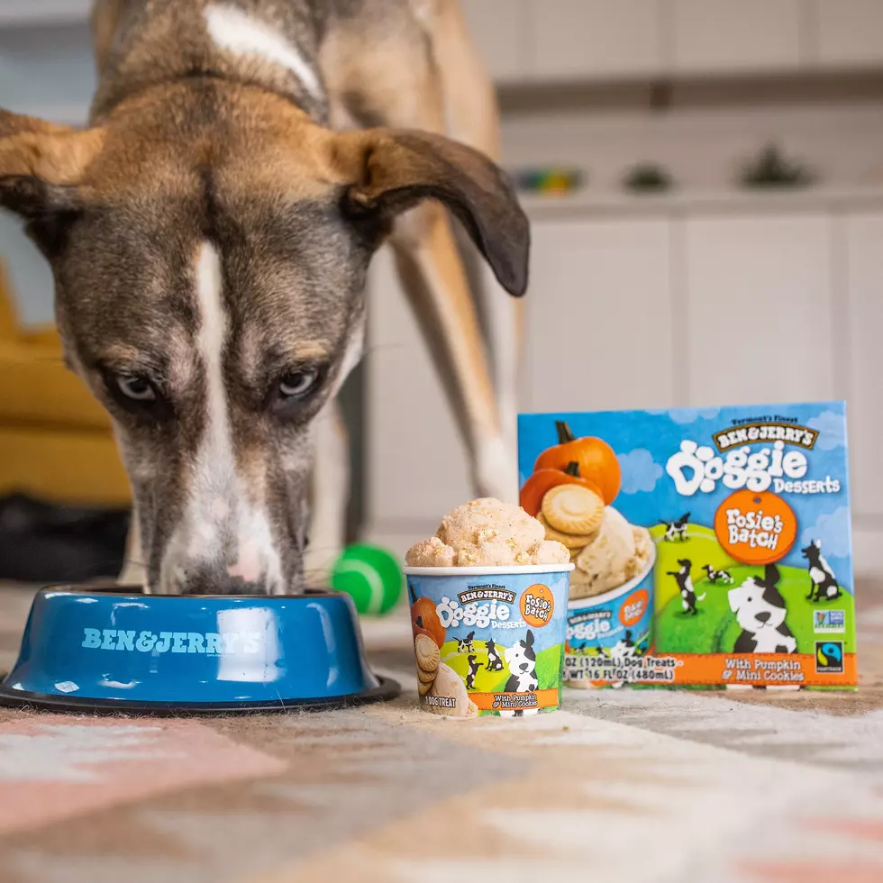 Pups of the World Rejoice: Vermont’s Ben & Jerry’s Releases Dog Ice Cream