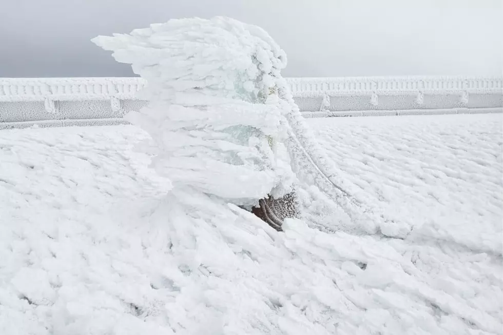 Did You Know That Rime Ice Makes Those Awesome Formations on Mount Washington?