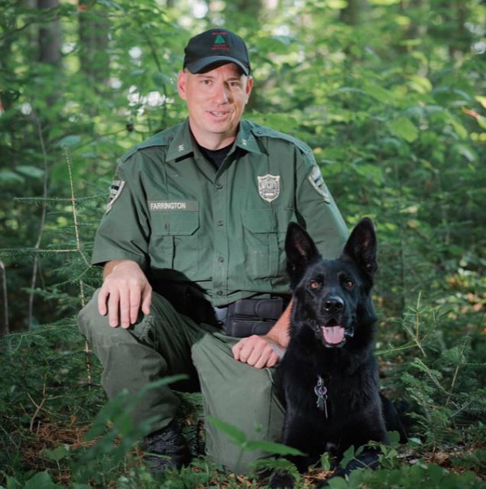 Maine Mourns the Tragic Loss of Game Warden K-9 Yaro