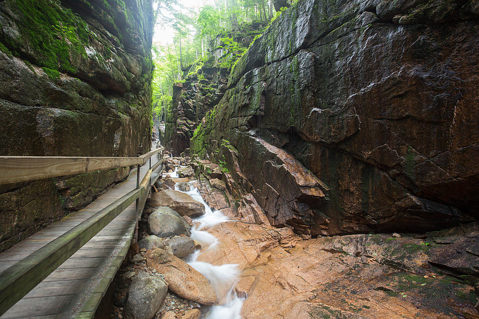 Flume Gorge is Opening for the Season this Friday