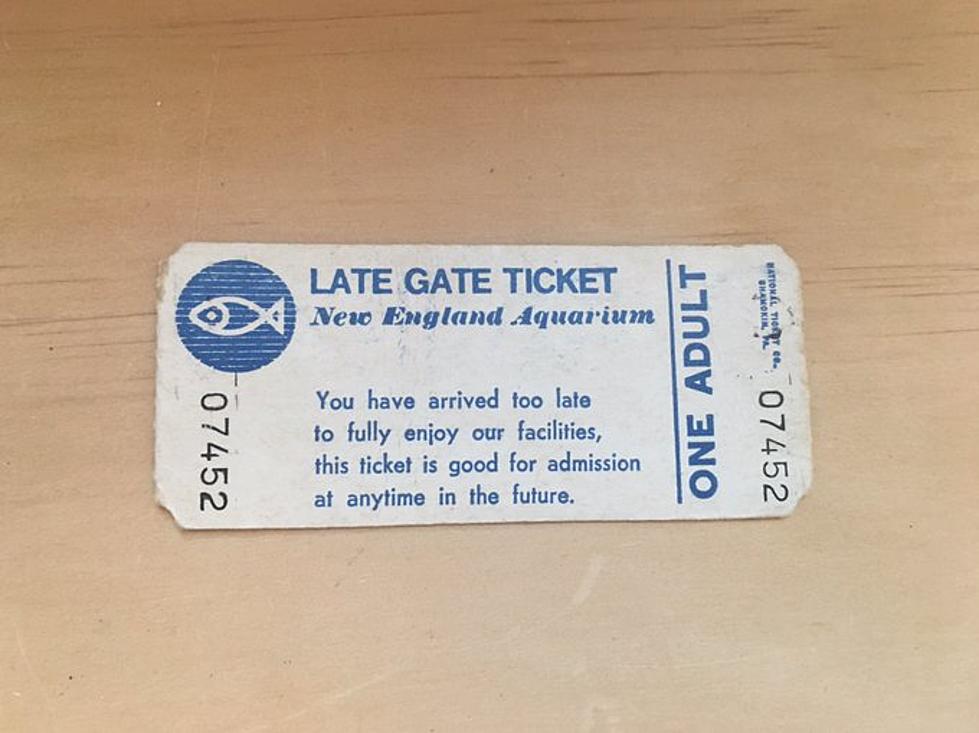 New England Aquarium Accepted an Admission Ticket That Was 37 Years Old