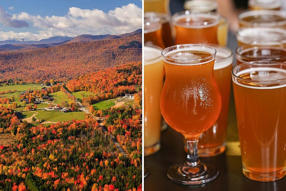 Amazing Epic Hiking Trails. Ever heard of a Hike &#038; Hops Before? Go to Vermont