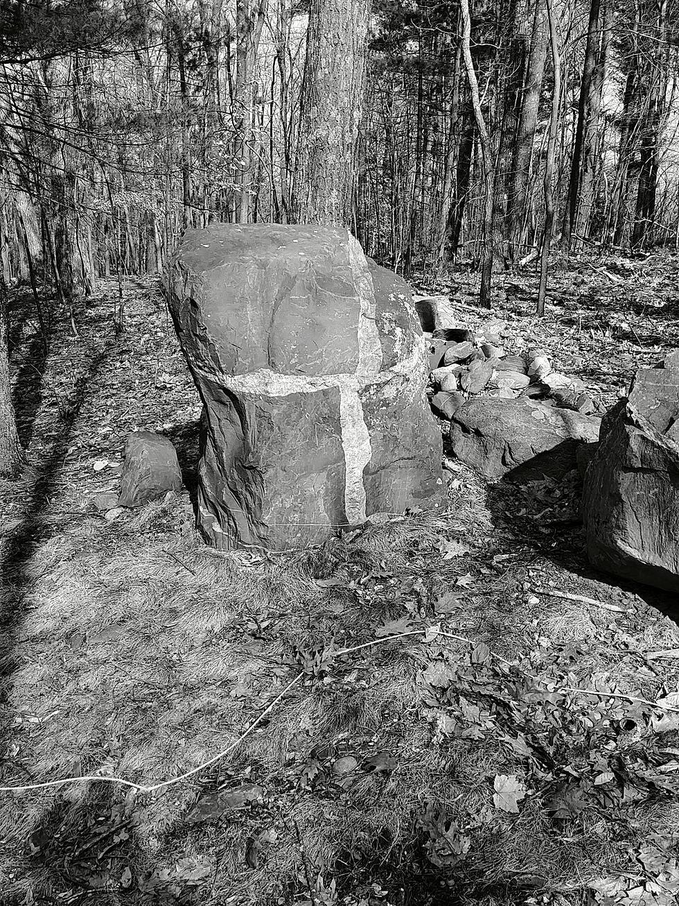 Is Blood Forest in Lancaster, Massachusetts Really Haunted? Did Something Sinister happen?
