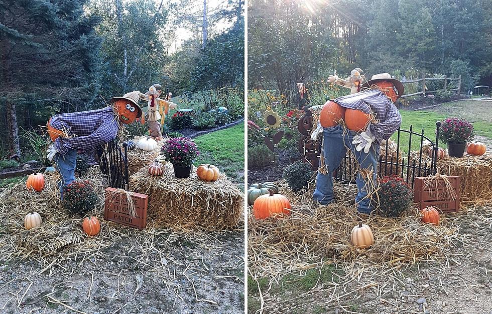 I’m Still Laughing About This NH Scarecrow Mooning Us With Pumpkin Butt-cheeks