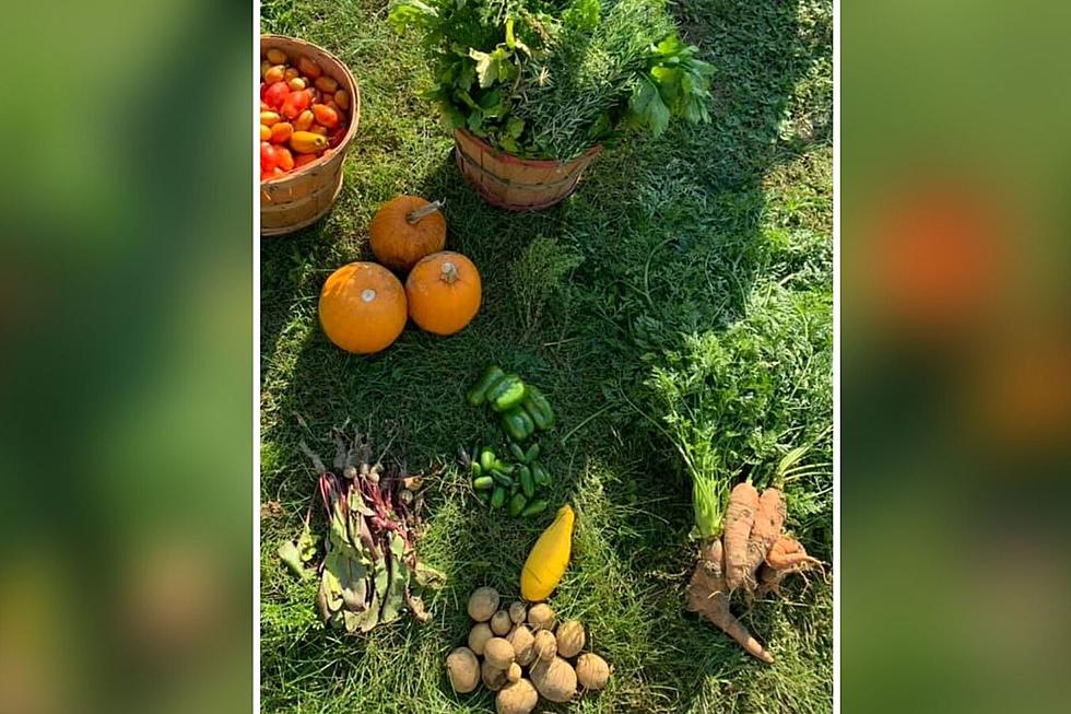 Rochester, NH, Family Lost Home to Fire But Made Sure Produce from Their Garden Didn&#8217;t go to Waste