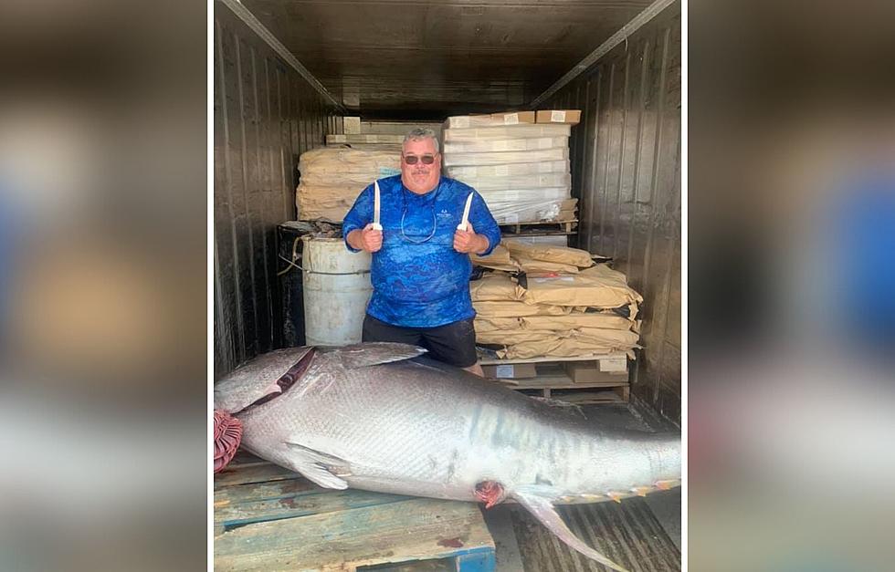 600 lb Tuna Caught by Accident in Maine Was Donated to a Local Soup Kitchen