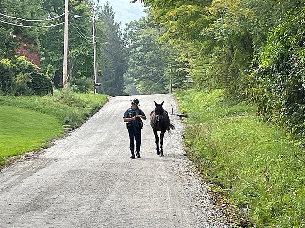 Mass State Trooper Wrangled a Horse on the Loose and Lived Out His Dreams of Being a Rodeo Cowboy