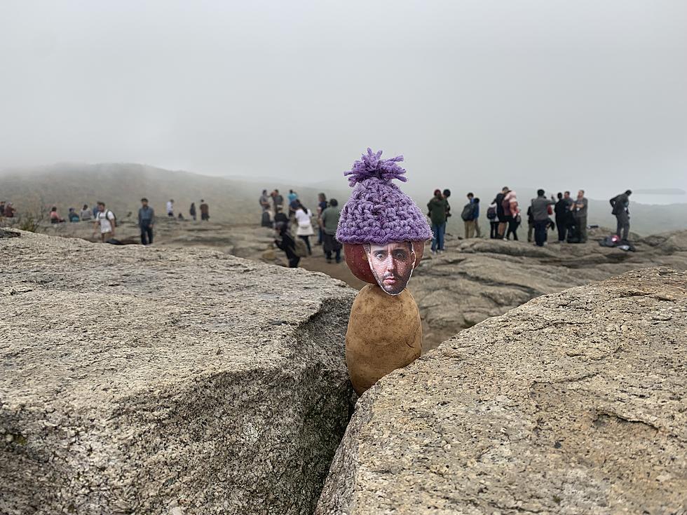 Who Put This Potato Head on the Summit of Mount Major in NH? You Should Know You&#8217;re Hilarious!