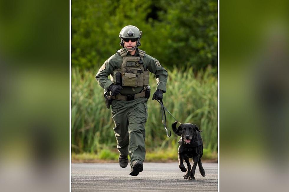 New Hampshire State Police Say Goodbye to their Beloved K9 Marsh