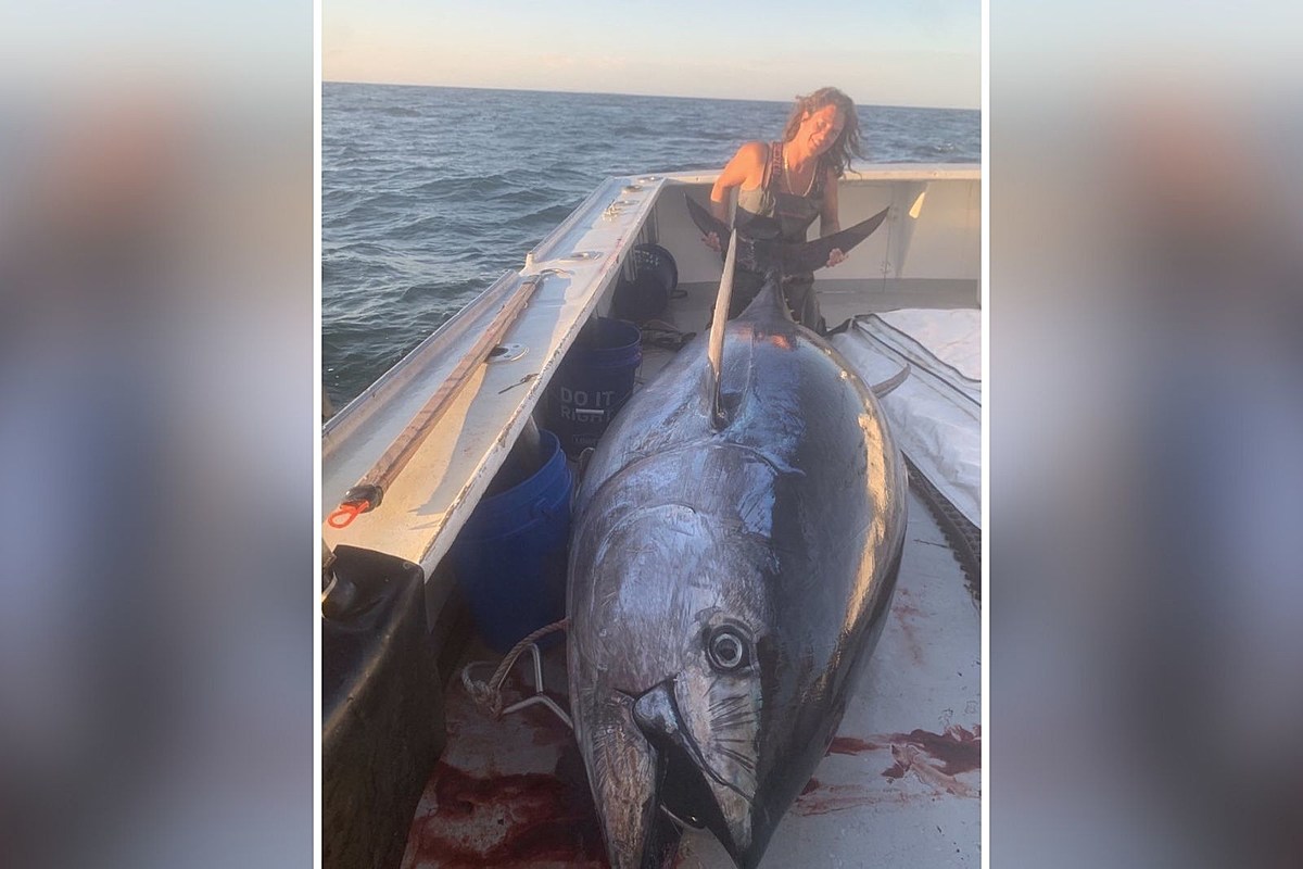 In Search Of 800 Pound Giant Bluefin Tuna