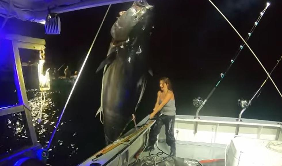 Watch Unbelievable Go Pro Footage of Seabrook, NH, Woman Reeling in a Monster of a Tuna