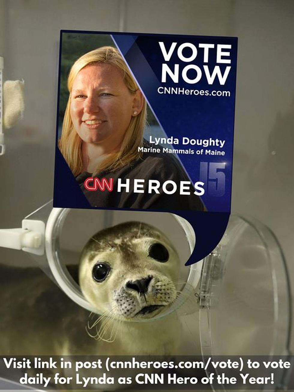 Vote Often and Early For Lynda Doughty of Phippsburg, Maine For CNN Hero of the Year