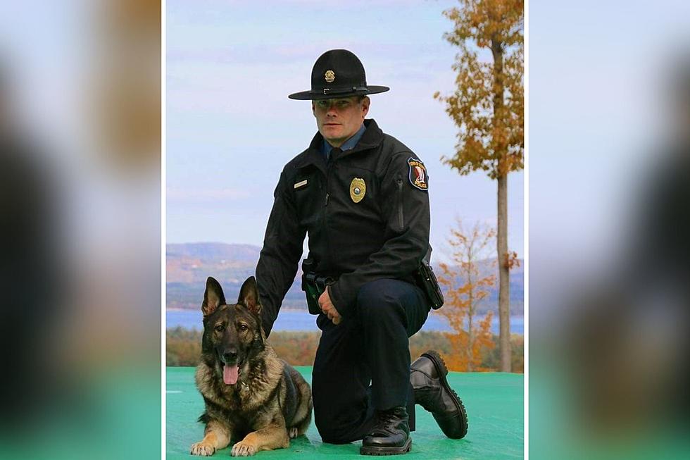 Ossipee, New Hampshire, Mourns Loss of Retired Officer K-9 Zeus