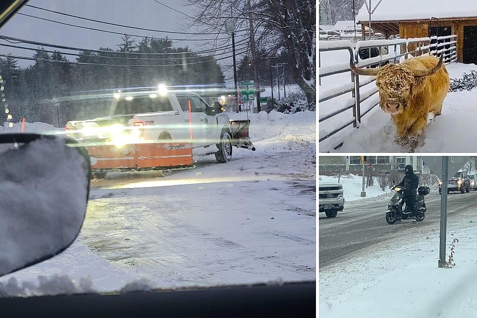 10 ‘Only in New Hampshire’ Pics That Capture the Essence of Our Winter