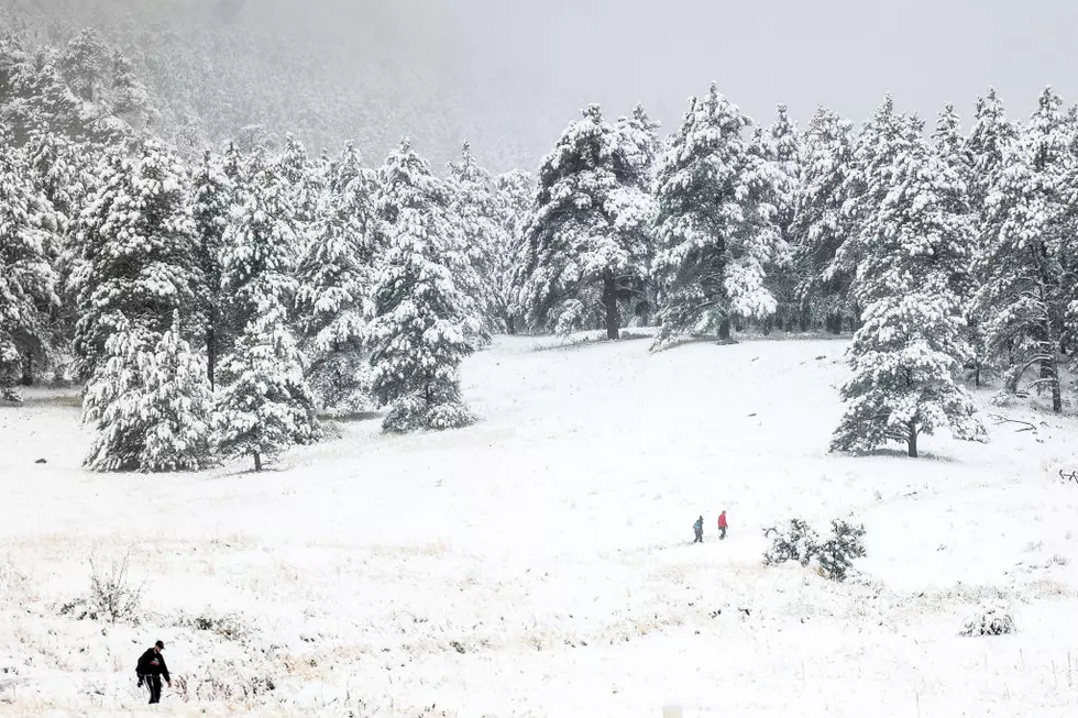 Have You Walked New Hampshire's Winter Wonderland in Newmarket?