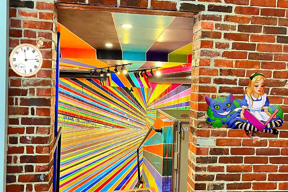 Immersive Art Gallery in Portsmouth, NH Gives Big ‘Alice in Wonderland’ Vibes