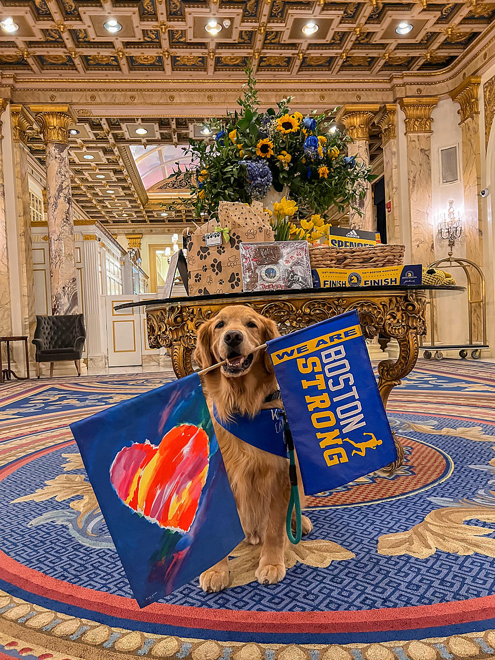 The Official Dog of the Boston Marathon Arrived in Style for Good Reason