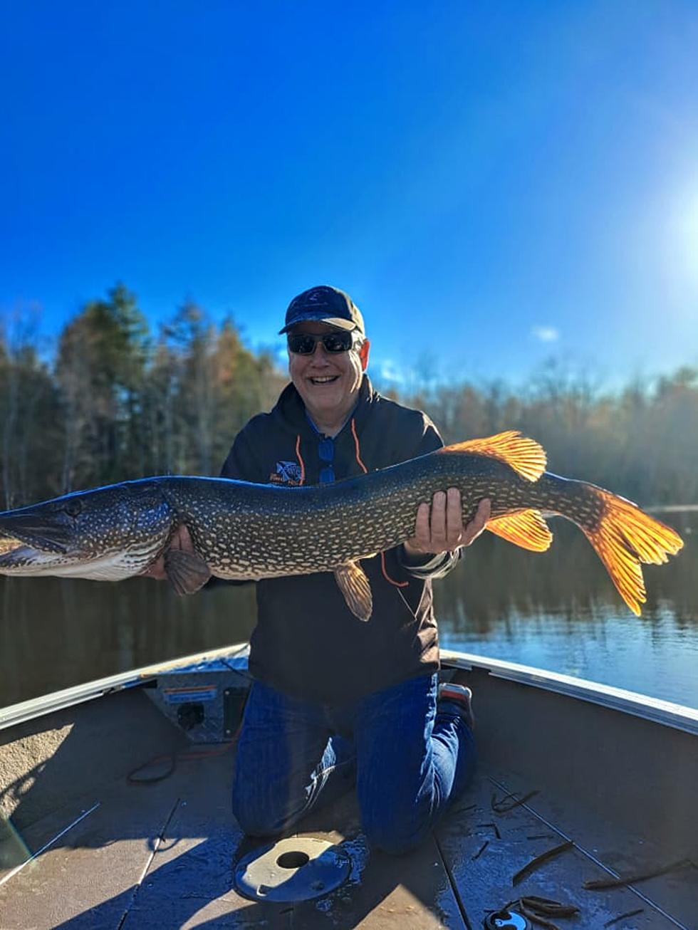 Enormous River Monster Pulled in Maine
