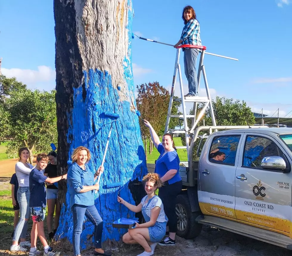Why Are Trees Painted a Vibrant Blue in Salem, Massachusetts?