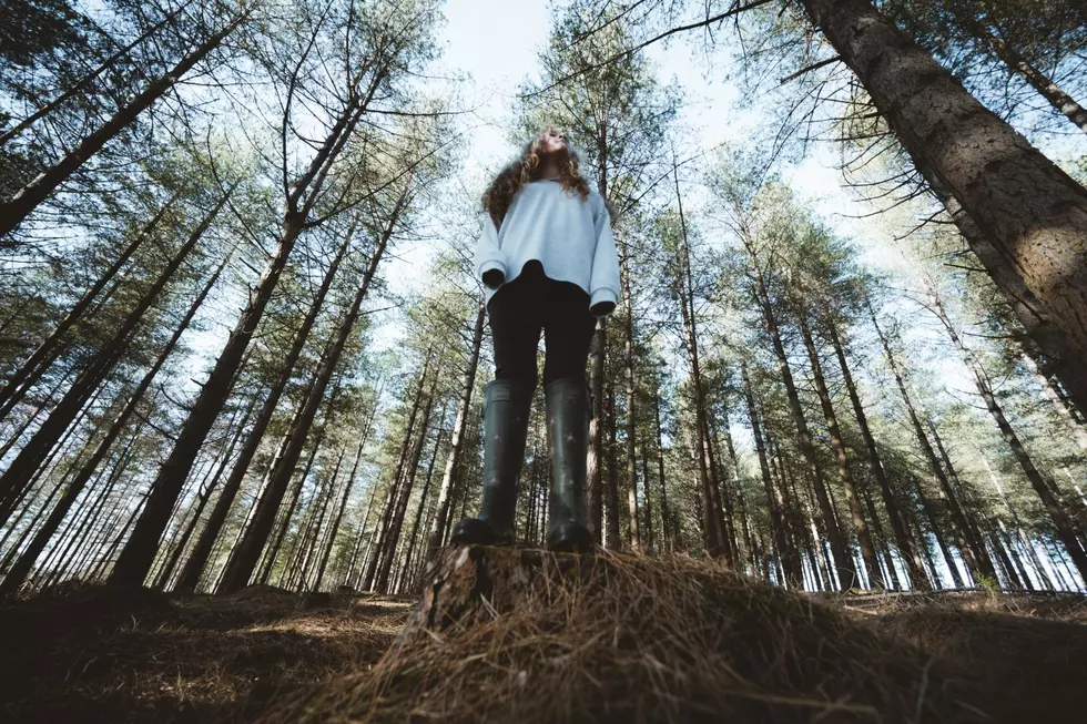 Forest Bathing: What is It and Why is It Good for You?