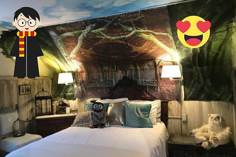 Harry Potter-Themed Airbnb in Mass is an Aspiring Wizard's Dream