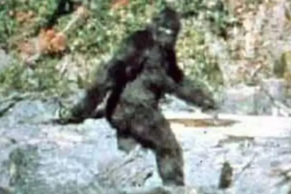 A Bigfoot Scavenger Hunt is Happening in Rochester, New Hampshire