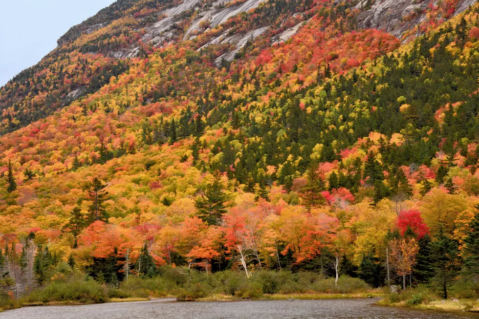 These Are 10 of the Best Leaf Peeping Spots in New Hampshire