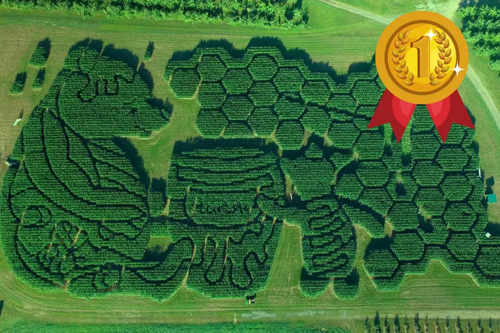 This Maine Corn Maze was Rated #1 in the Country by USA Today &#8211; Worth a Road Trip From Massachusetts or New Hampshire