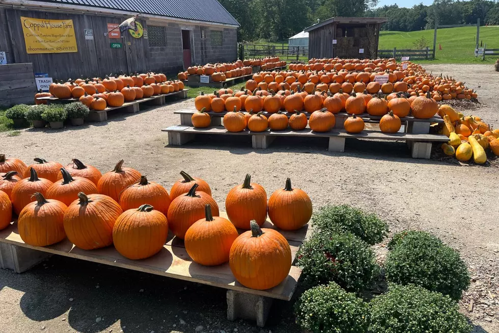 Celebrate Fall With Fall Harvest Day at Coppal House Farm in Lee, New Hampshire