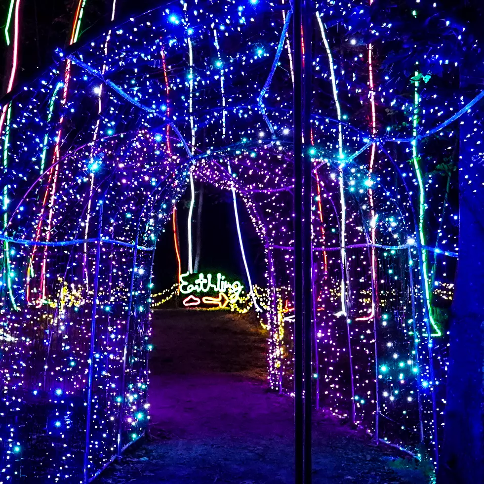Catch an Out-of-This-World Light Show in Eliot, Maine