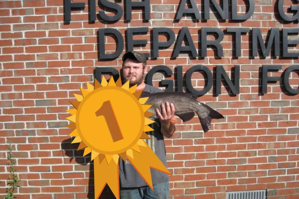 New Hampshire Man Sets New State Record for His Channel Catfish Catch