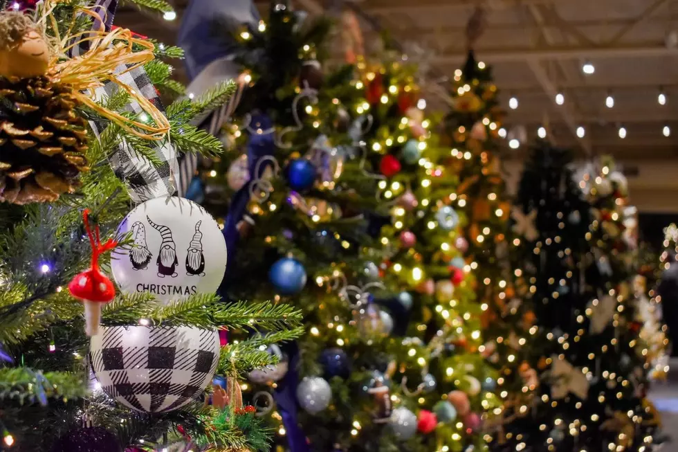 Holiday Spirit Lives at the Sea Festival of Trees in Salisbury MA