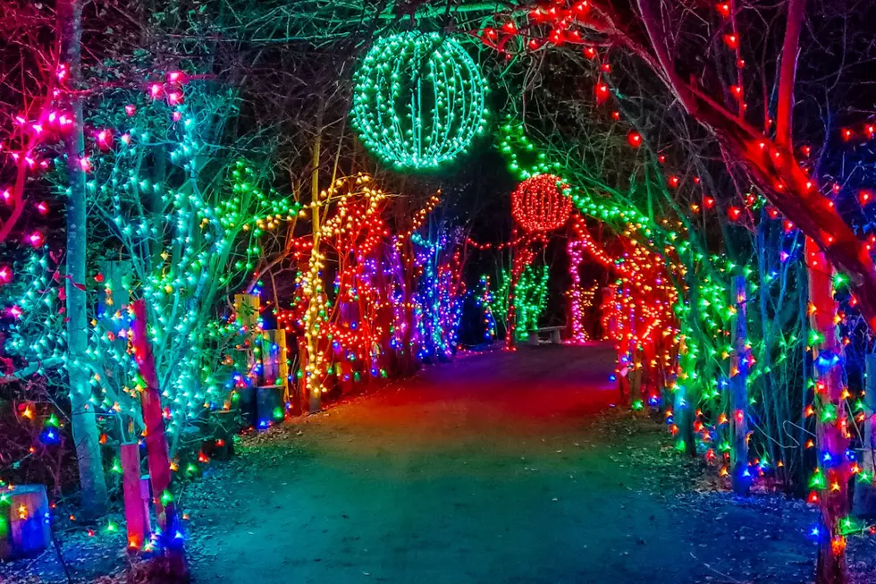 New England Zoo to Ring in the Season With Annual Holiday Lights Spectacular