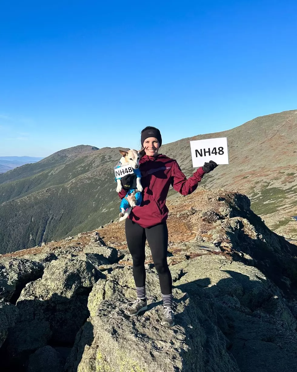 This 14-Year-Old Dog Hiked the 48 4,000-Footers of New Hampshire