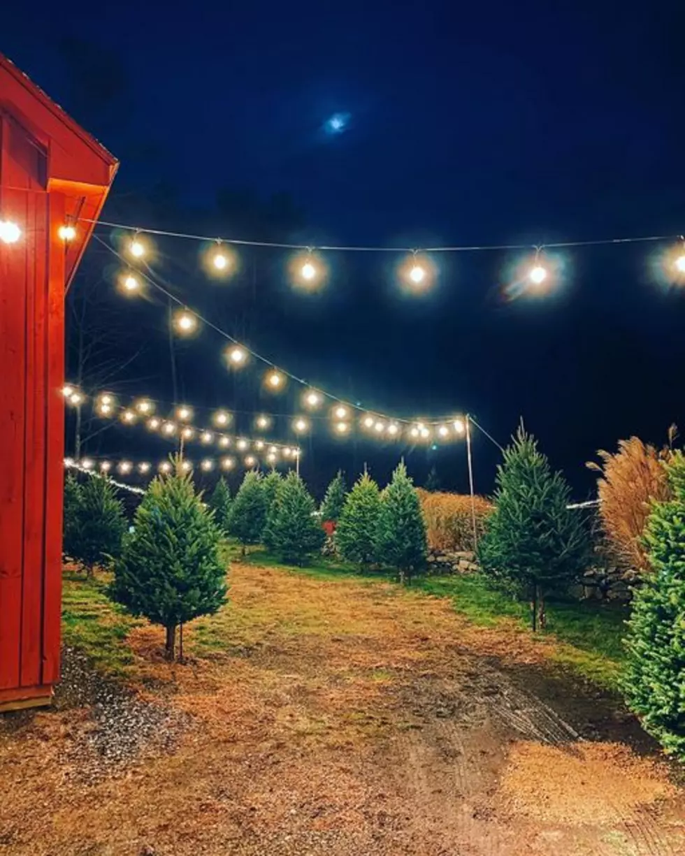 Saint Nick&#8217;s Trees in York, Maine, is Perfect for Getting Your Christmas Tree as a Family or Date Night