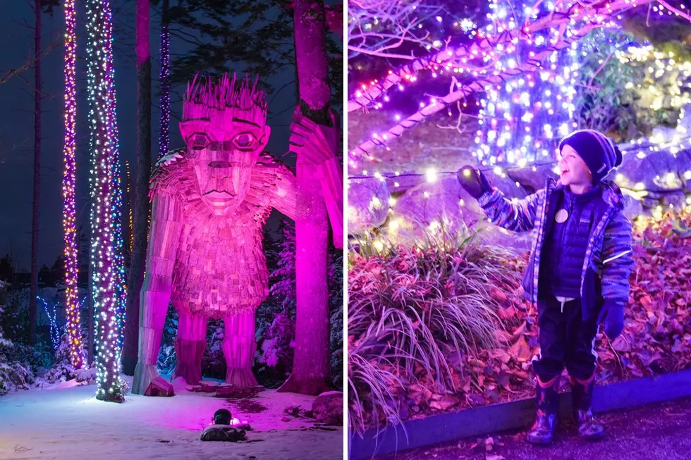 Top 25 Over-the-Top Christmas Displays Across America Includes This Maine Classic