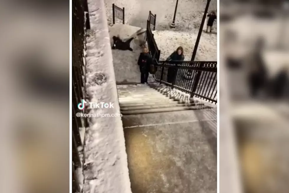 WATCH: Funny TikTok Shows MA Students Wiping Out on the Ice