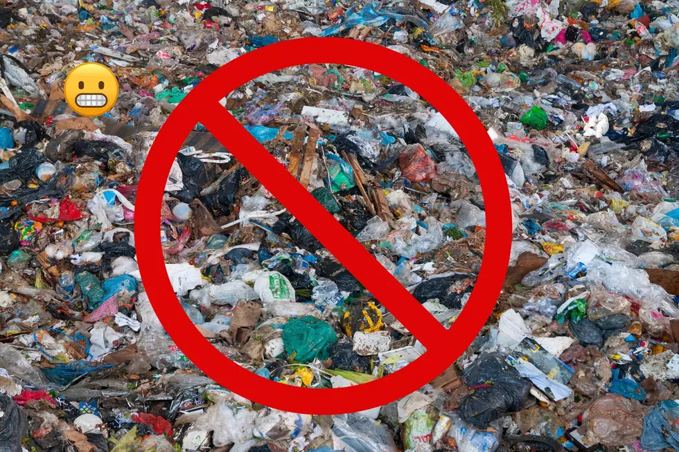 It's Illegal to Throw These 5 Items in the Regular Trash in NH