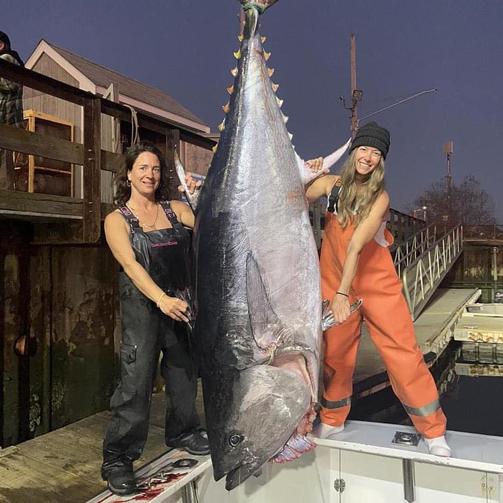 NH Fisherwoman and her AllFemale Crew Make 'Wicked Tuna' History