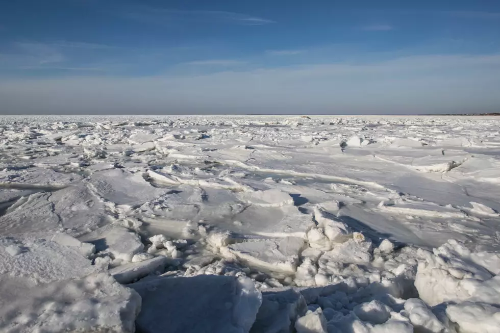 Remember When a Shark Froze on a Massachusetts Beach Over a Freezing Cold Weekend?