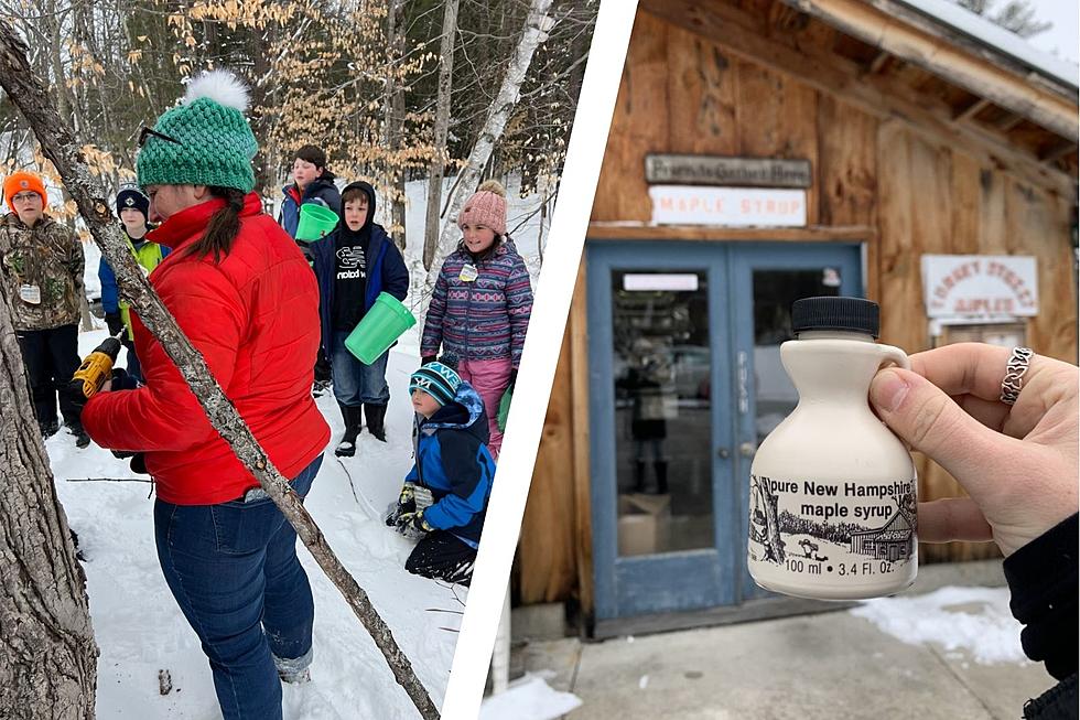 It’s Maple Season: Sugar House Owners Make Positive Impact on NH Students & Community
