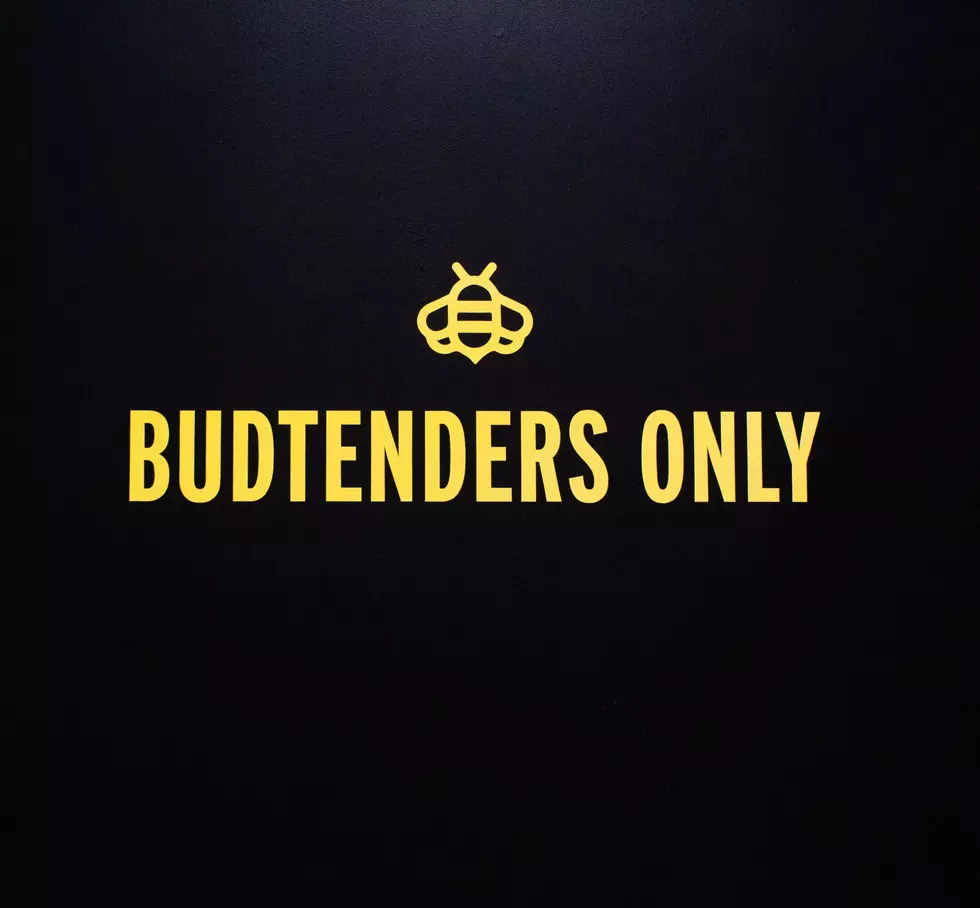 buzzed buds via unsplash.com