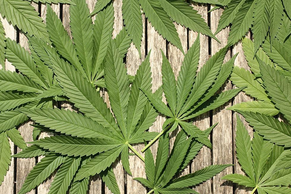 25 of Best Cannabis Dispensary Names in Massachusetts