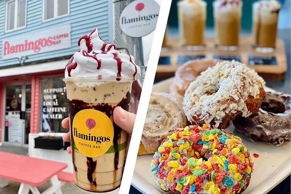 Flamingos Coffee Bar Opening Second Location in Exeter, New Hampshire