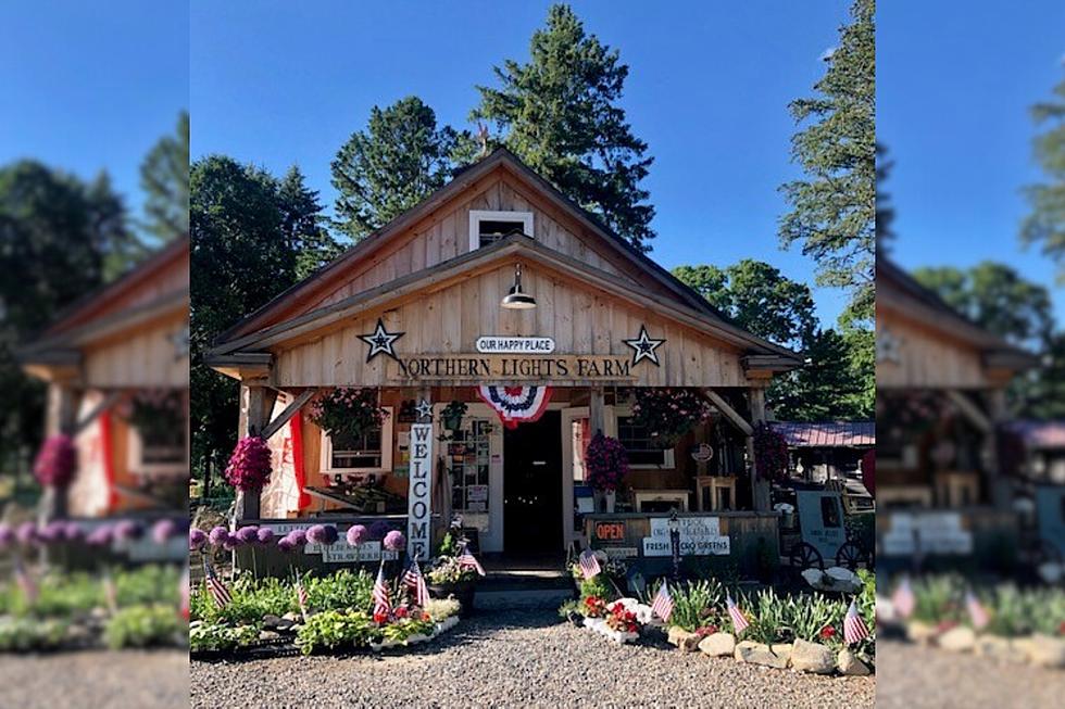 Martha Stewart-like Farm Stand in Massachusetts Will Amaze You