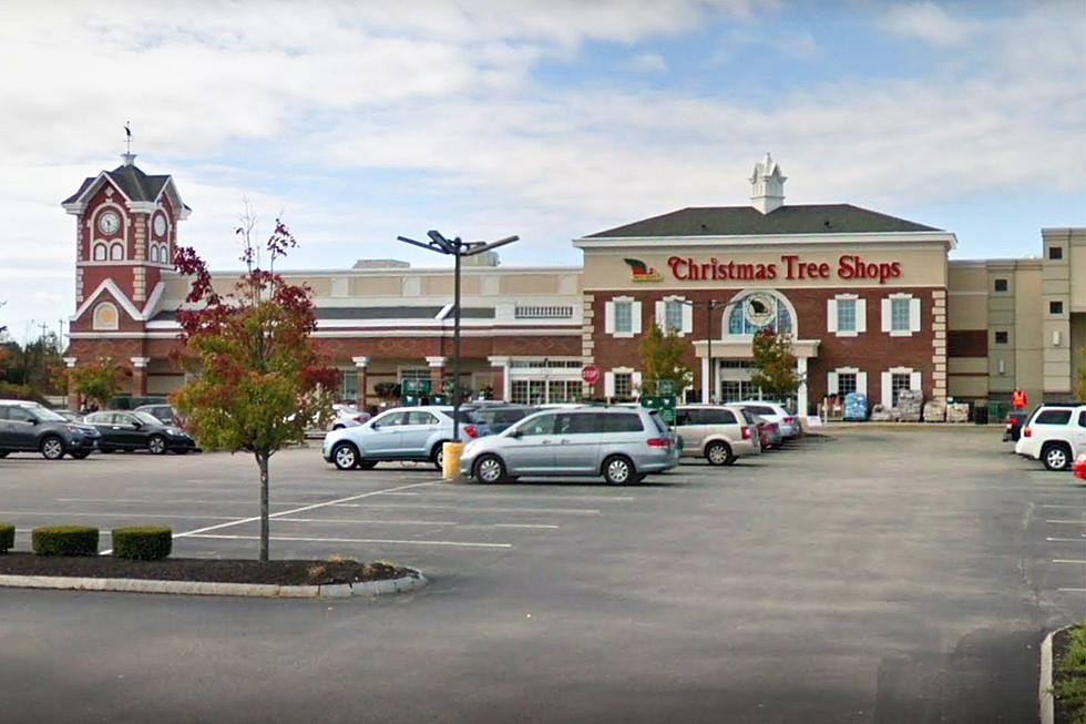 13 Stores That Could Replace Christmas Tree Shops in Portsmouth, New Hampshire